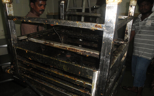 Pest control by high pressure steam service in Chennai